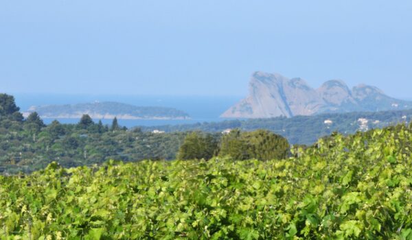 Le Domaine de l'Olivette