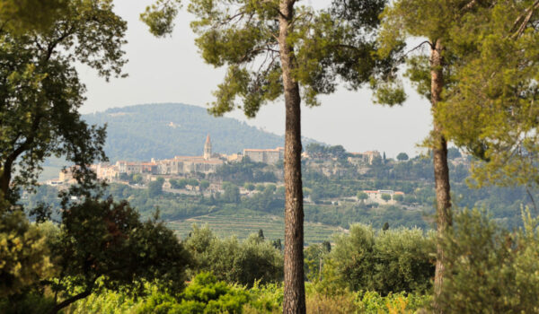 Le Domaine de l'Olivette