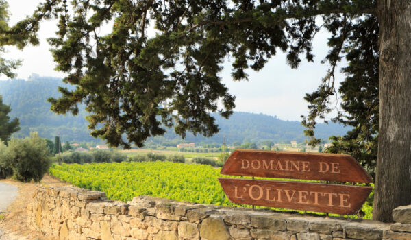 Le Domaine de l'Olivette